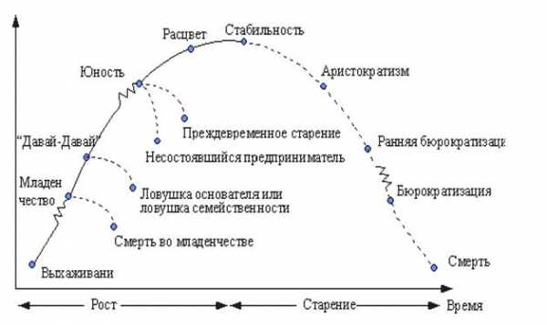 Жизненный цикл организации на примере газпрома